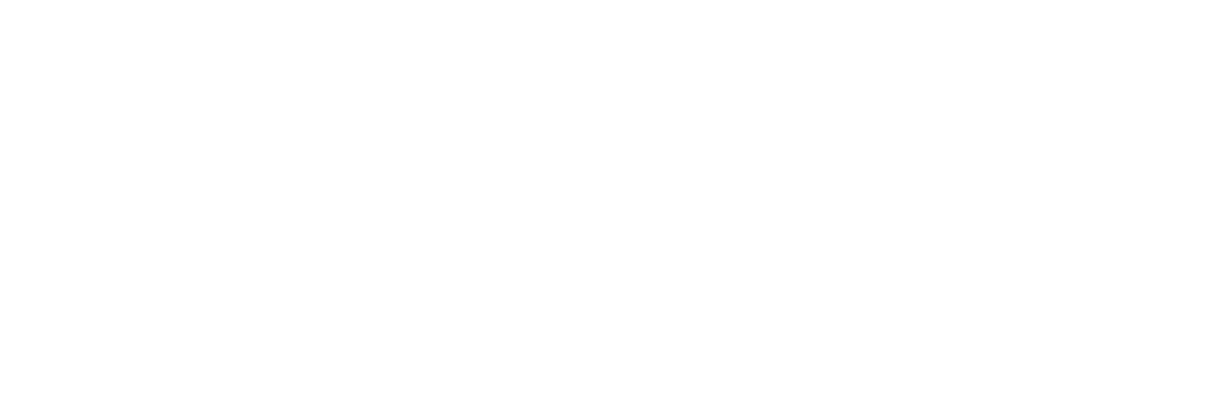 芯略科技